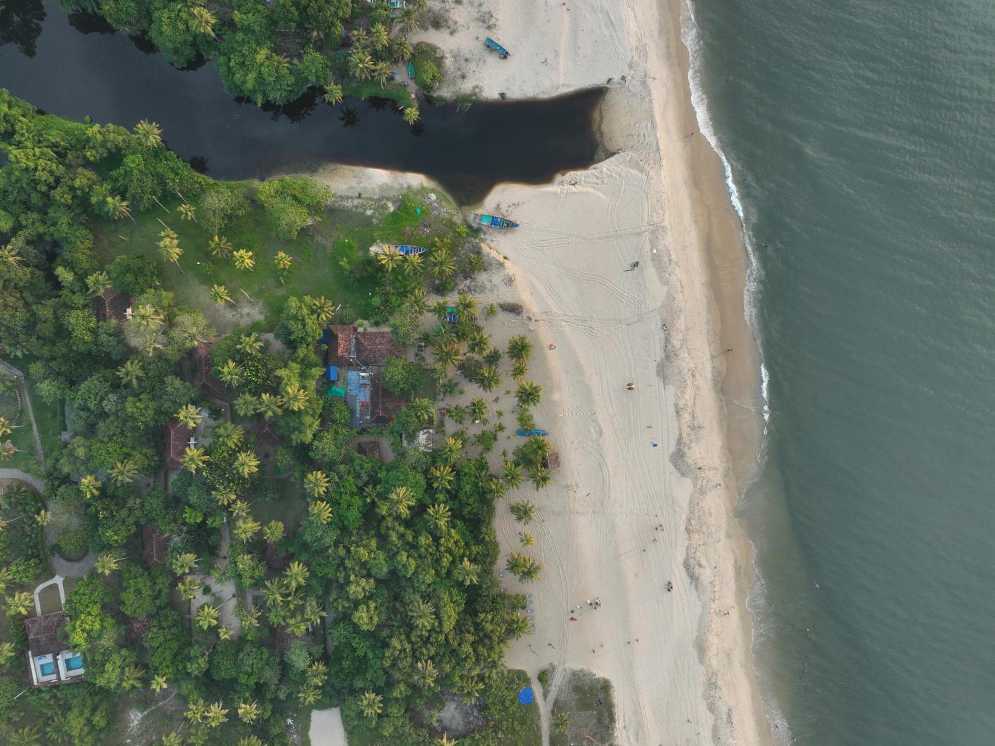 Marari Sealap Beach Villas Mararikulam Dış mekan fotoğraf